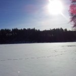 20140130_125944 20140130_125944