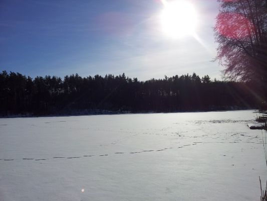 20140130_125944