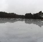 IMG_0444
