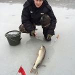 IMG_0446 IMG_0446