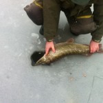 IMG_4755 IMG_4755