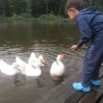 лето 2013 017