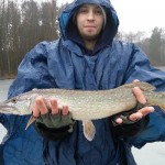 последние 006