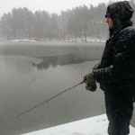 последние 272