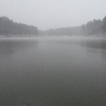 последние 273 последние 273