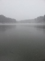 последние 273