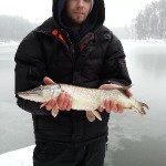последние 290