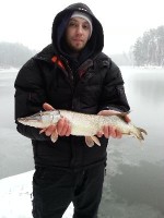 последние 290