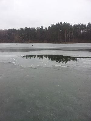 20140228_124543