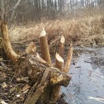 20140228_132250