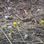 20140228_133108