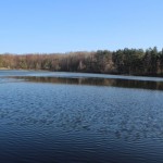 IMG_6898