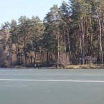 IMG_6952 IMG_6952