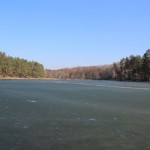 IMG_6953