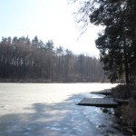 IMG_6957 IMG_6957