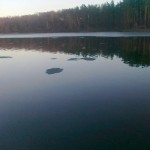 08032014337 08032014337