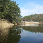 20140314_111918