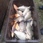 20140401_072918
