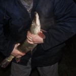 IMG_6856 IMG_6856