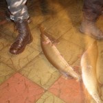 IMG_6859 IMG_6859