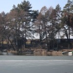 IMG_6982