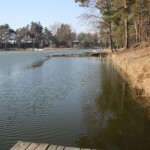IMG_6983 IMG_6983