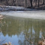 IMG_6993