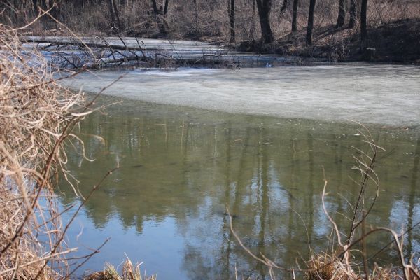 IMG_6993