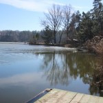 IMG_7008 IMG_7008