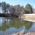 IMG_7017 IMG_7017