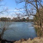 IMG_7039 IMG_7039