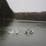 IMG_7060