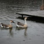 IMG_7064 IMG_7064