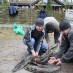 IMG_7078