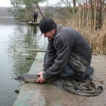 IMG_7085 IMG_7085