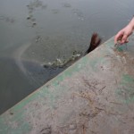 IMG_7094 IMG_7094