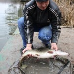 IMG_7099 IMG_7099