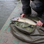 IMG_7101 IMG_7101