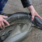 IMG_7122 IMG_7122