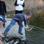 IMG_7135 IMG_7135