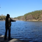 IMG_7264 IMG_7264