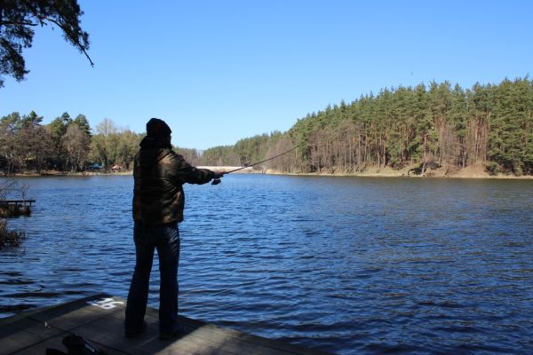 IMG_7264