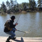 IMG_7303 IMG_7303
