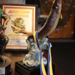 IMG_7326 IMG_7326