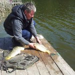 20140426_114930 20140426_114930