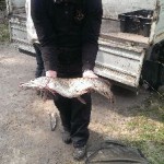 IMAG0407_ZOE011 - копия
