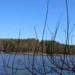 IMG_7498 IMG_7498