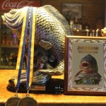 IMG_8908 IMG_8908
