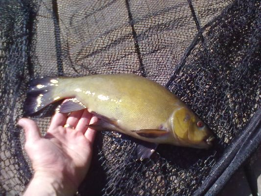 Изображение 045