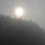 трофейное 011
